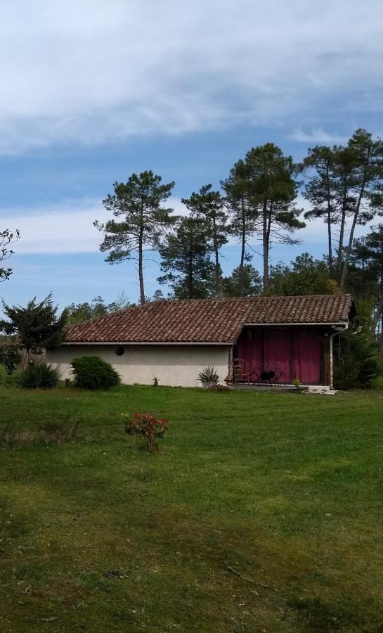 Maison Confortable Avec Terrasse En Bois Au Calme Sans Vis A Vis , 2 Chambres, Sur Un Parc De 4000M2 Arbore Et Clos Pissos Екстер'єр фото